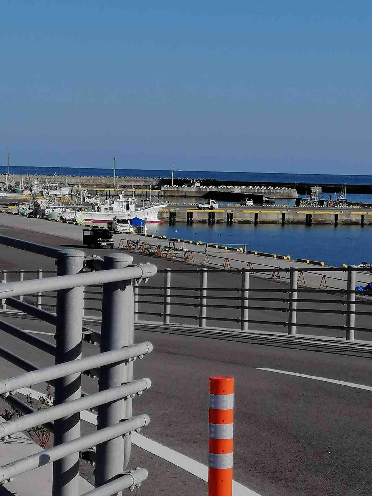 投稿された画像