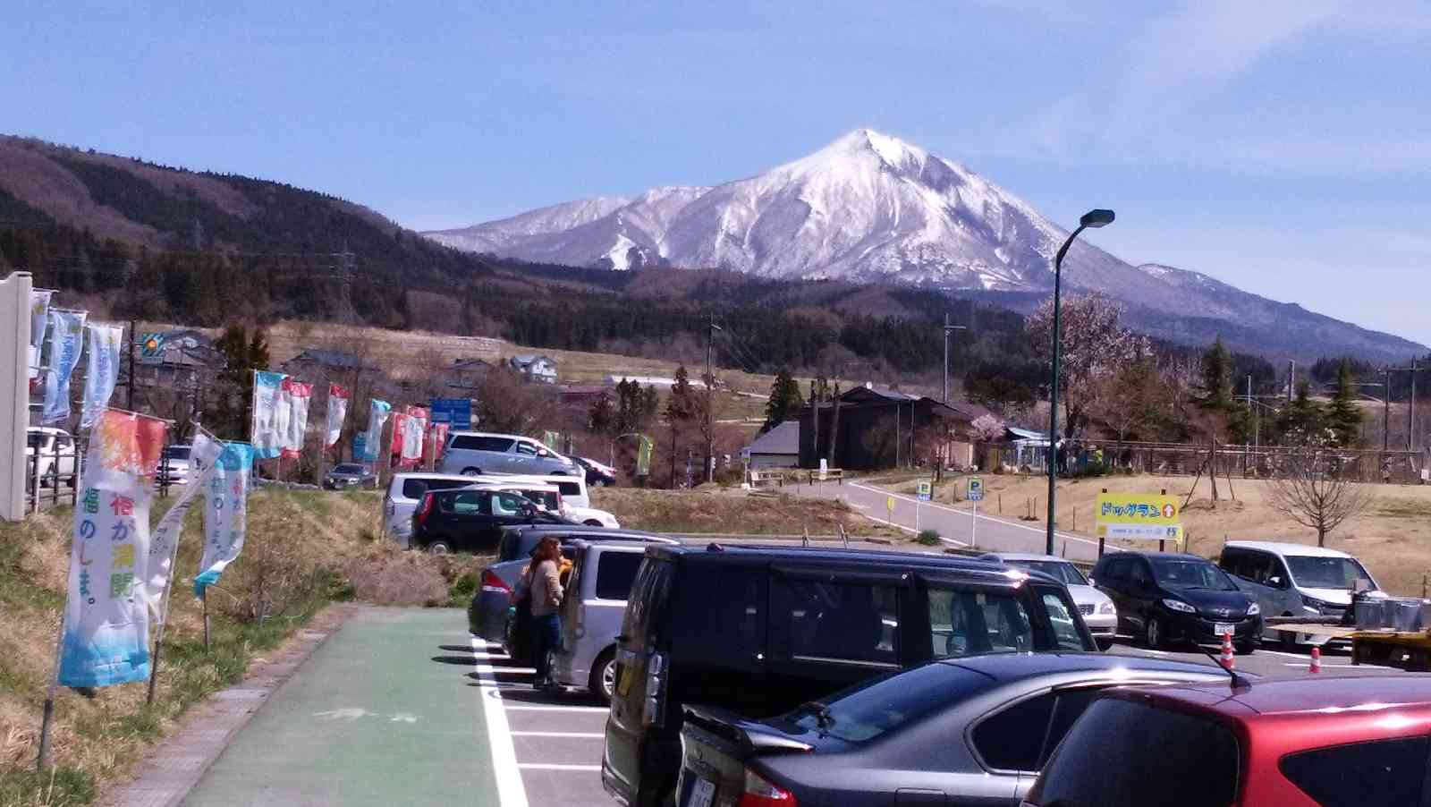 投稿された画像