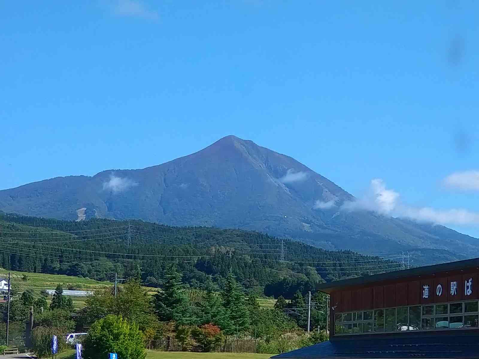 投稿された画像