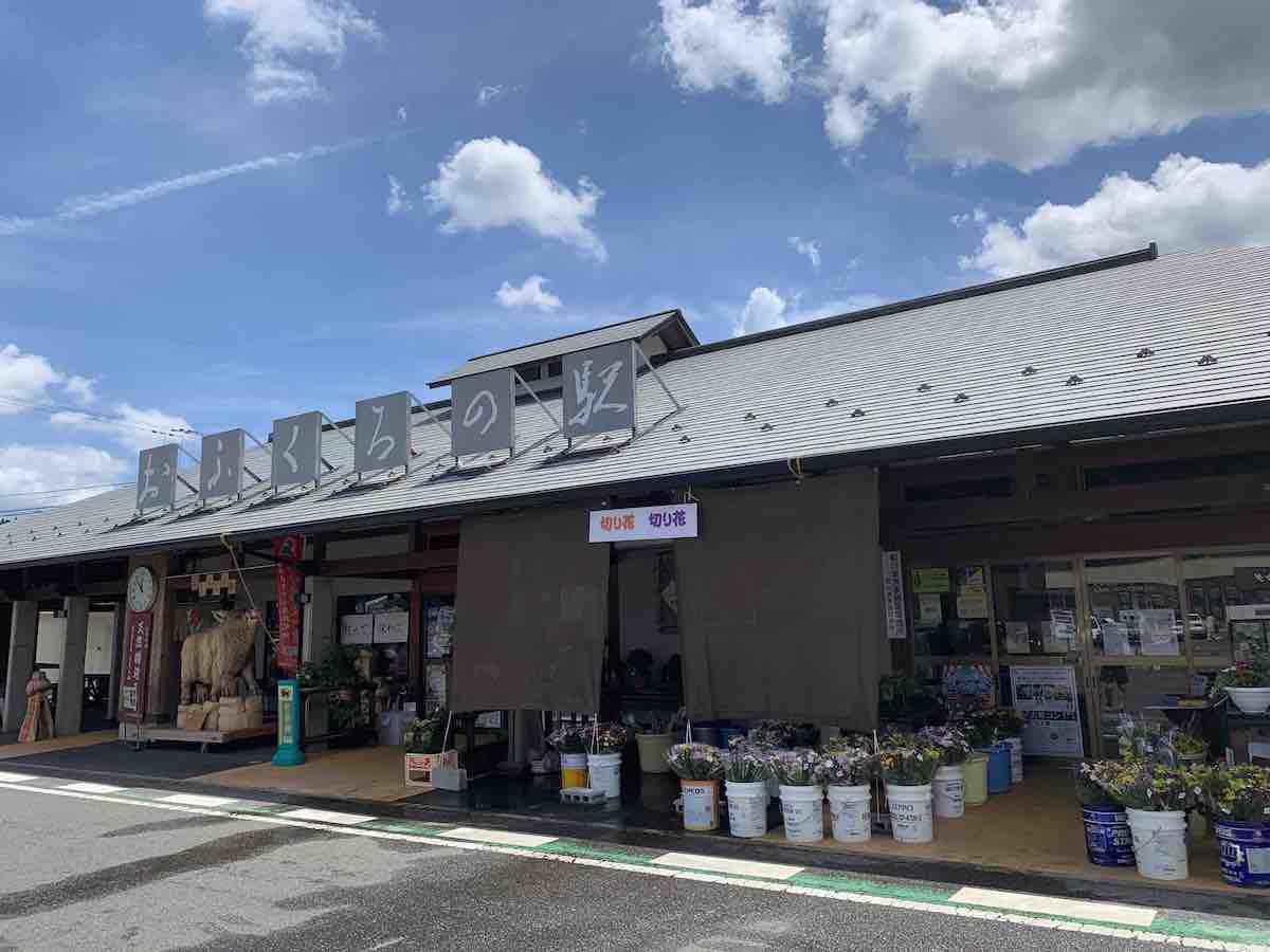 投稿された画像