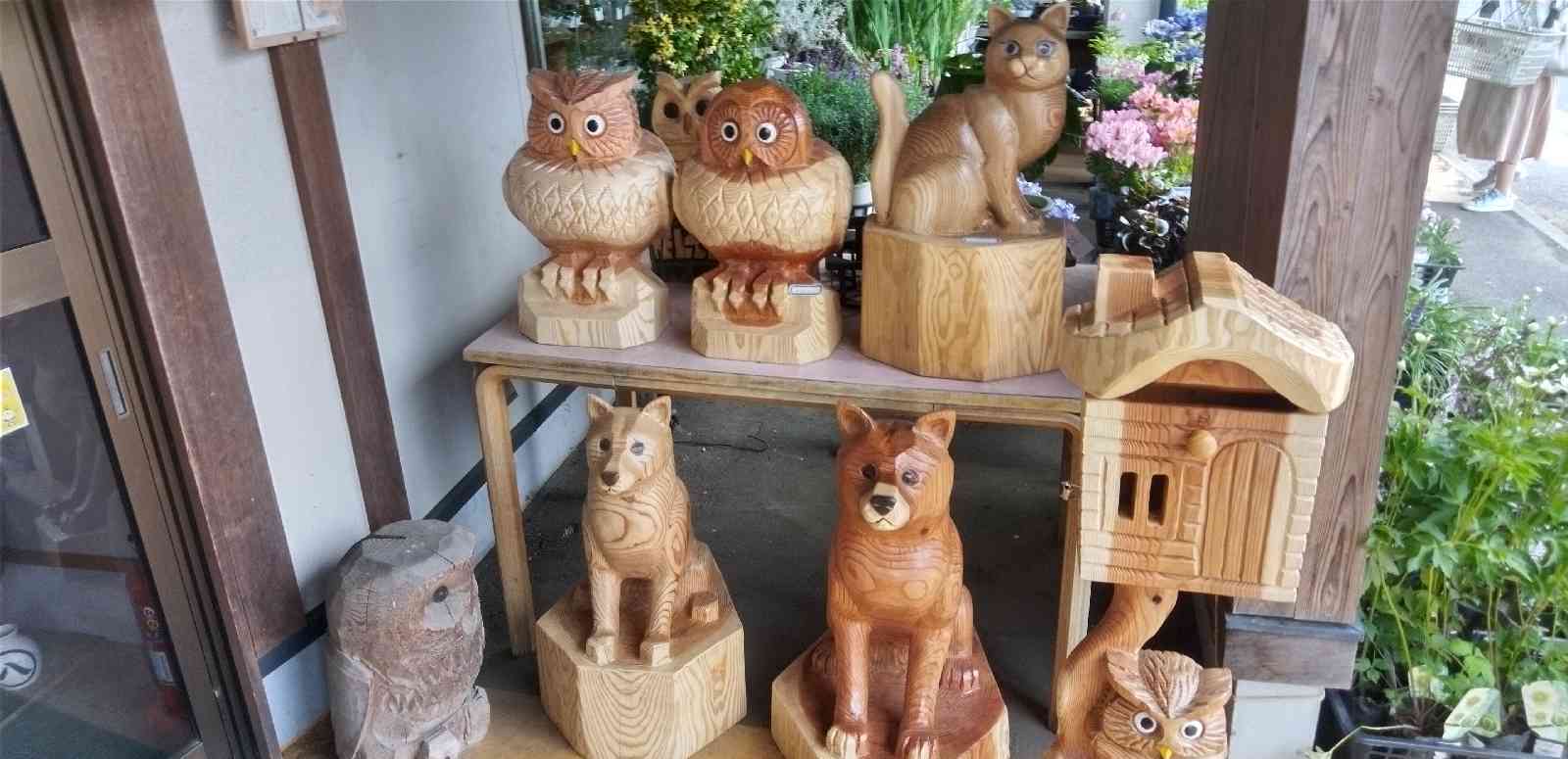 投稿された画像