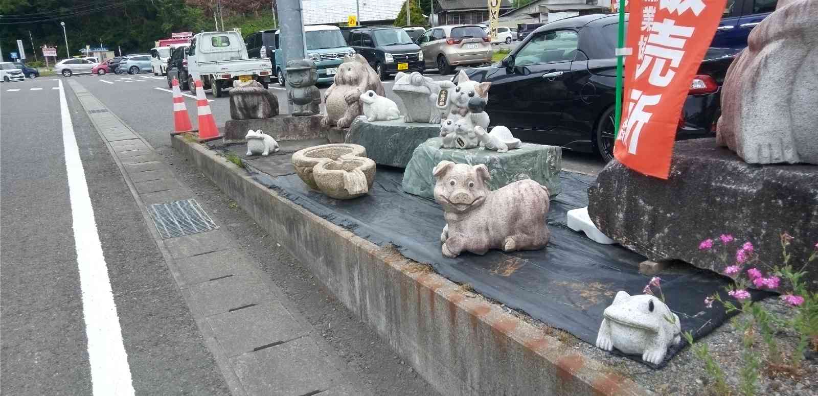 投稿された画像