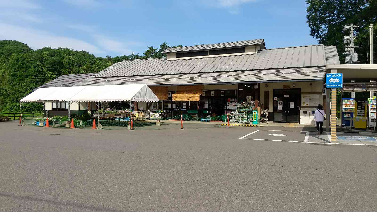投稿された画像