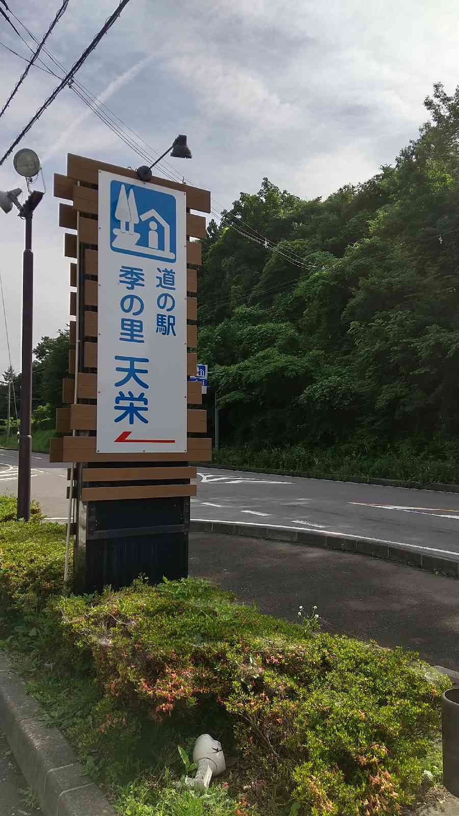 投稿された画像
