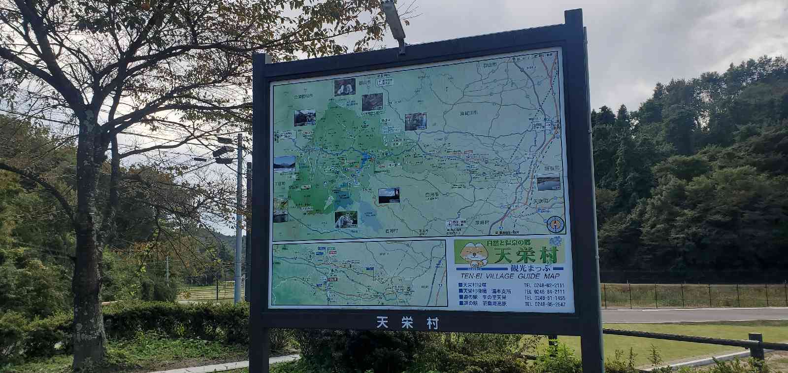 投稿された画像