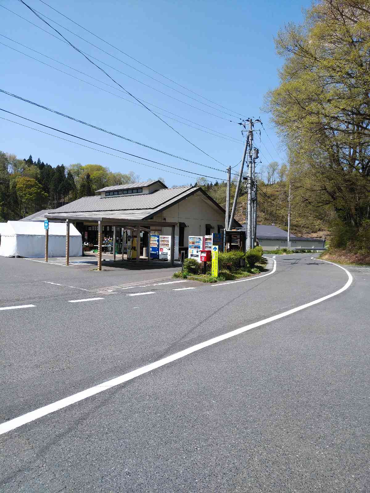 投稿された画像