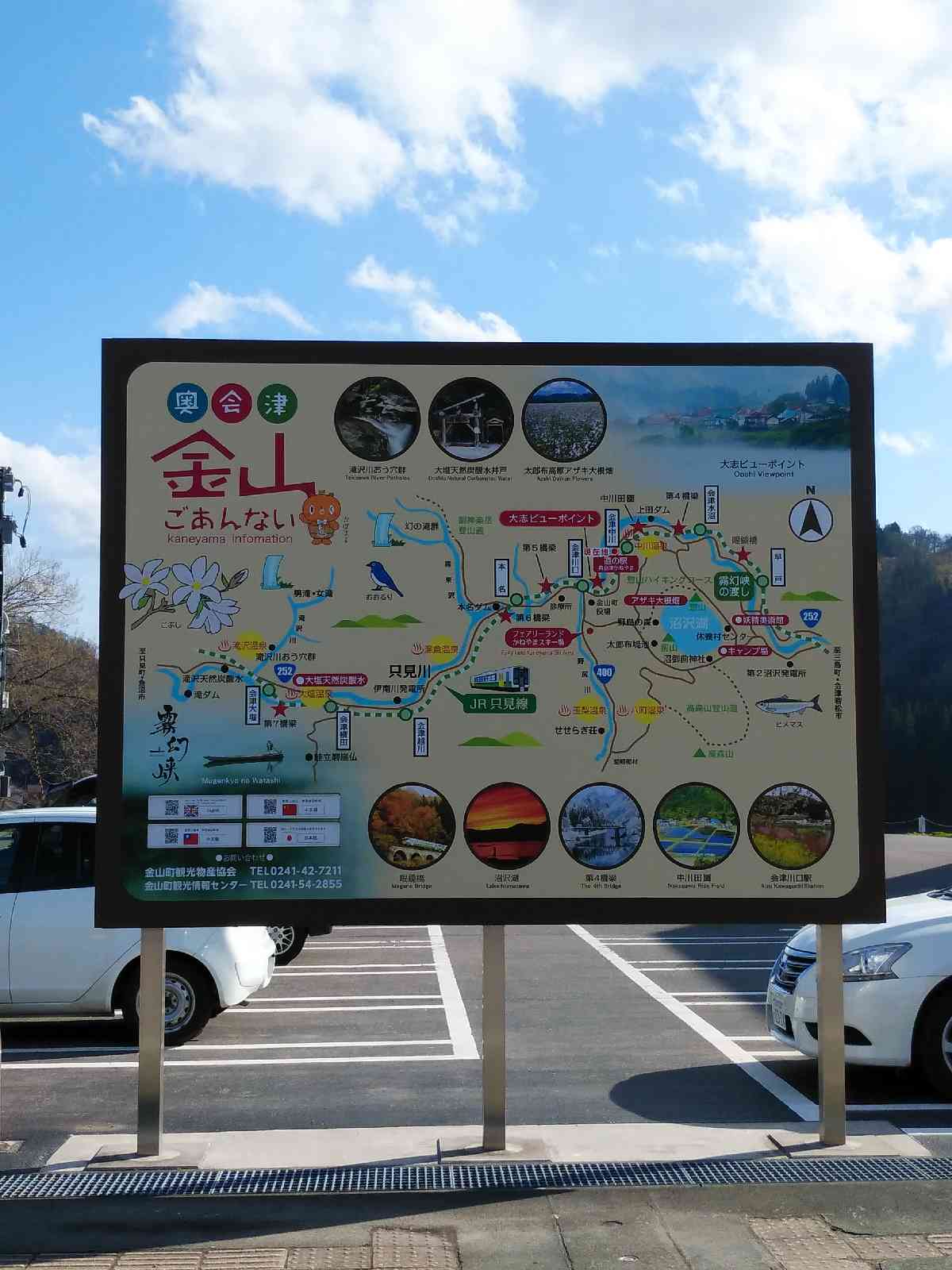 投稿された画像