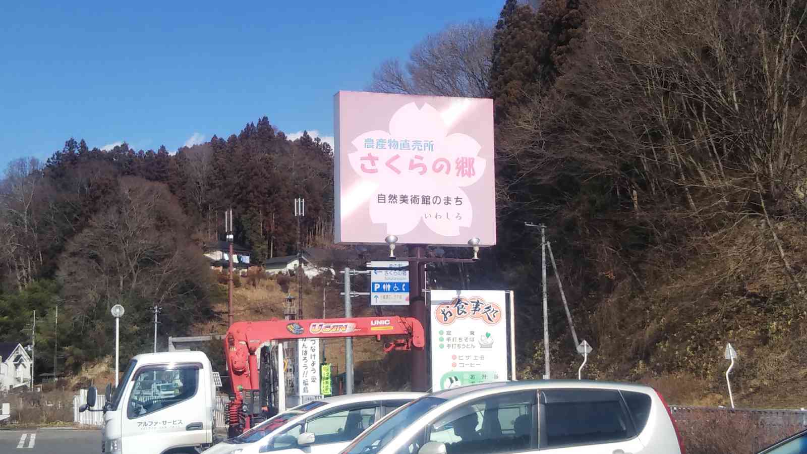 投稿された画像