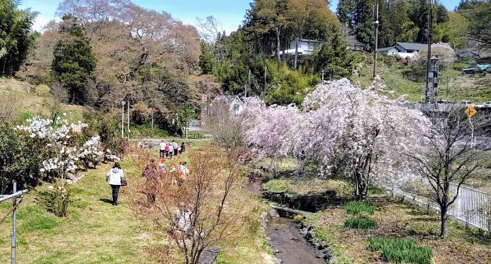 道の駅 さくらの郷の写真