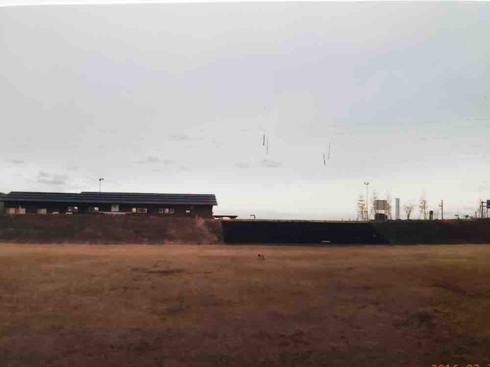 投稿された画像