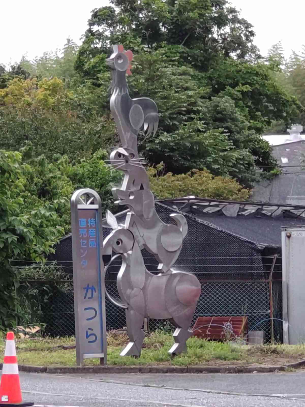 投稿された画像