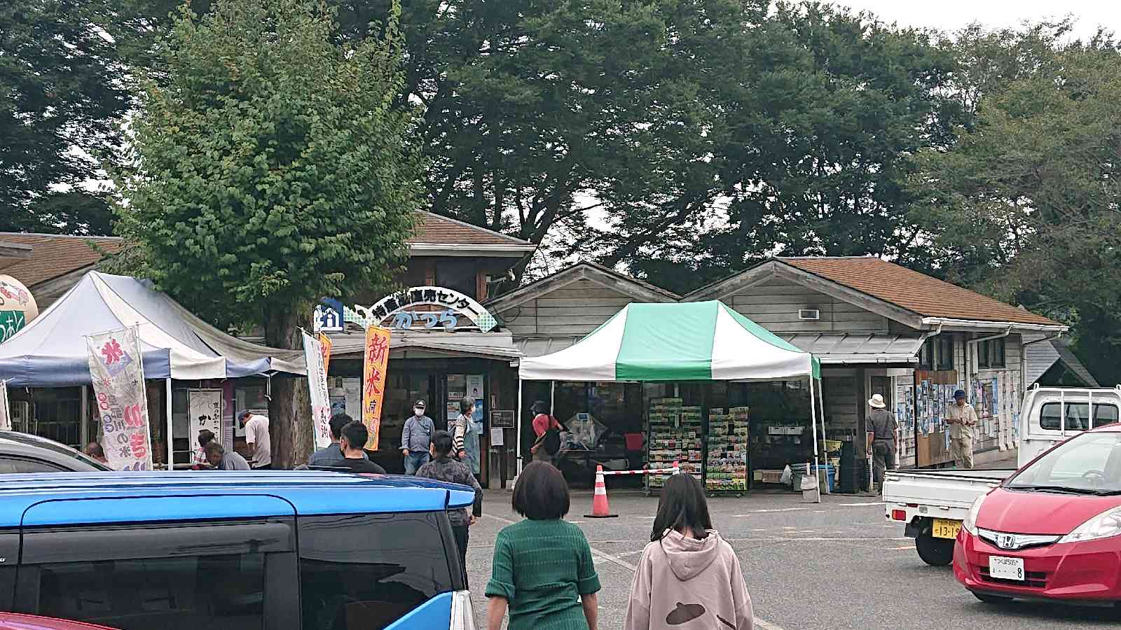 投稿された画像