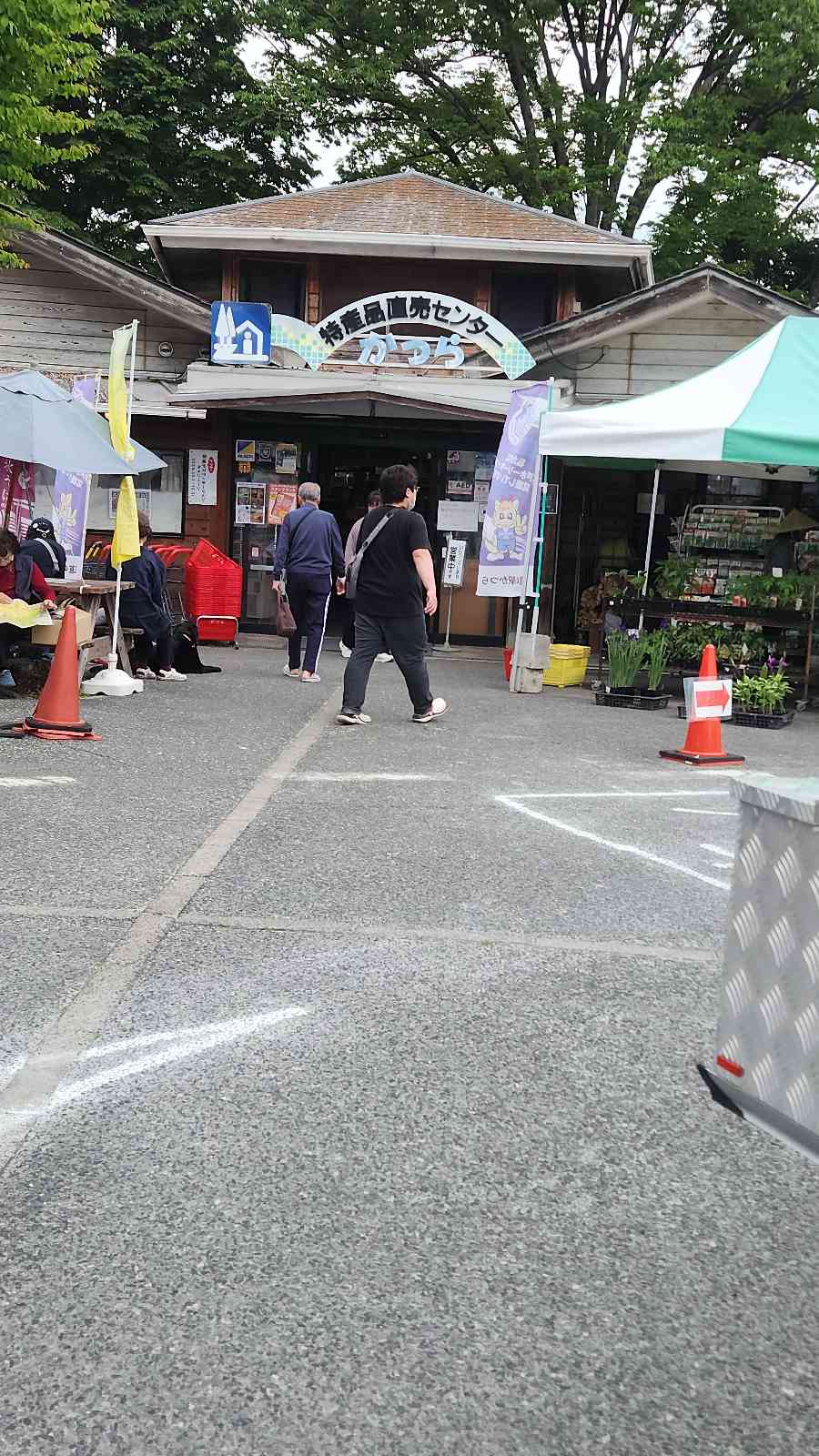 道の駅 かつらの写真