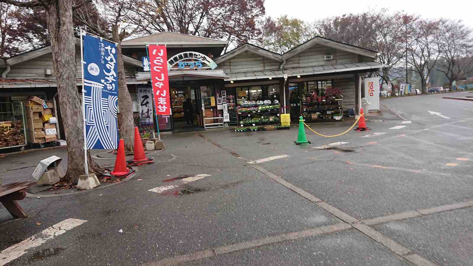 投稿された画像