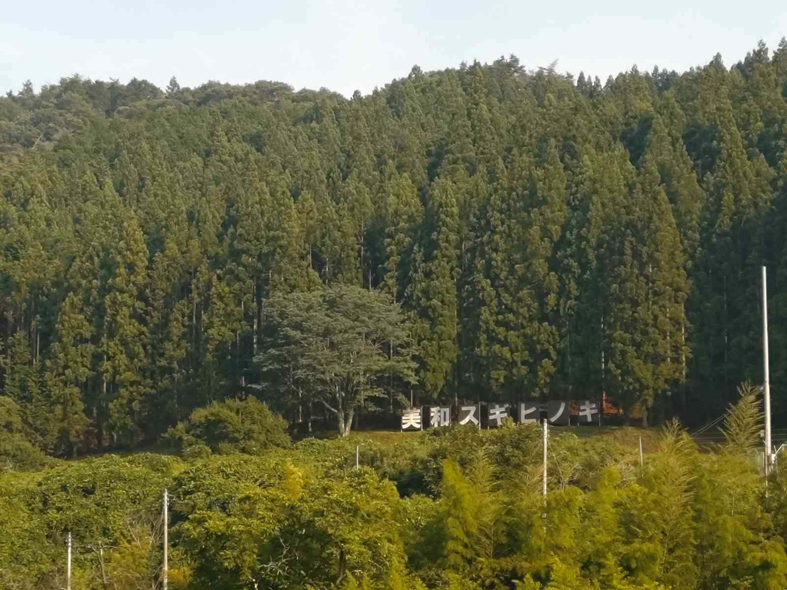 道の駅 みわの写真