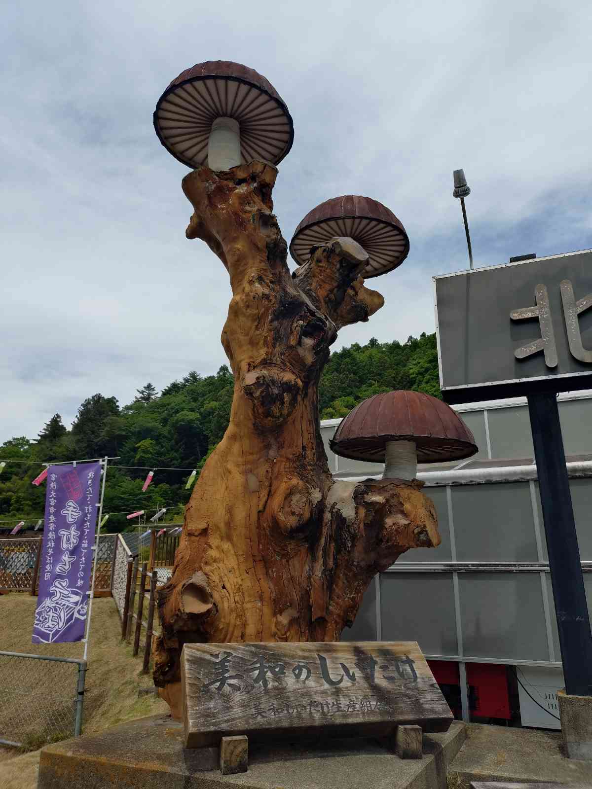 道の駅 みわの写真