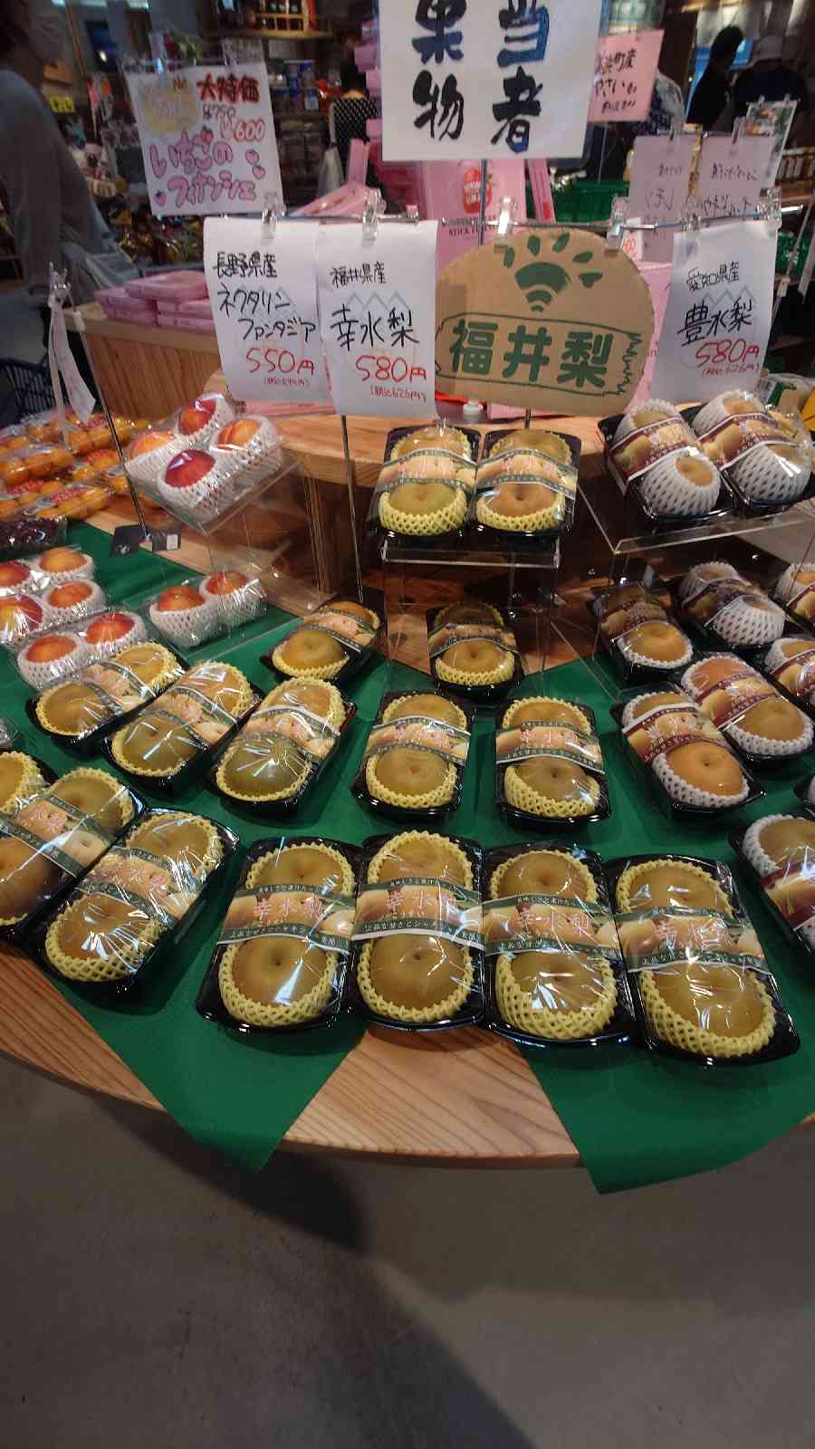 道の駅 若狭美浜はまびよりの写真
