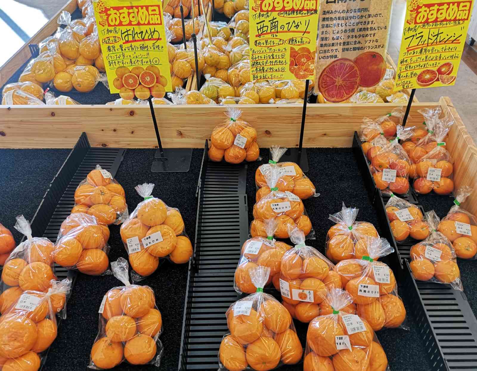 道の駅 海南サクアスの写真