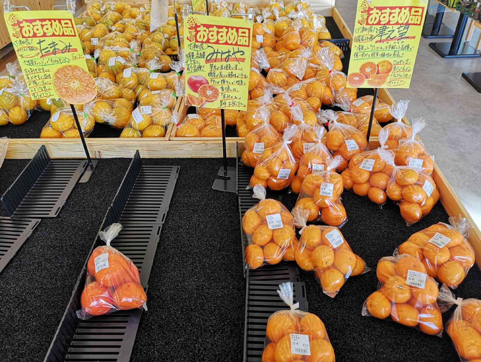 道の駅 海南サクアスの写真