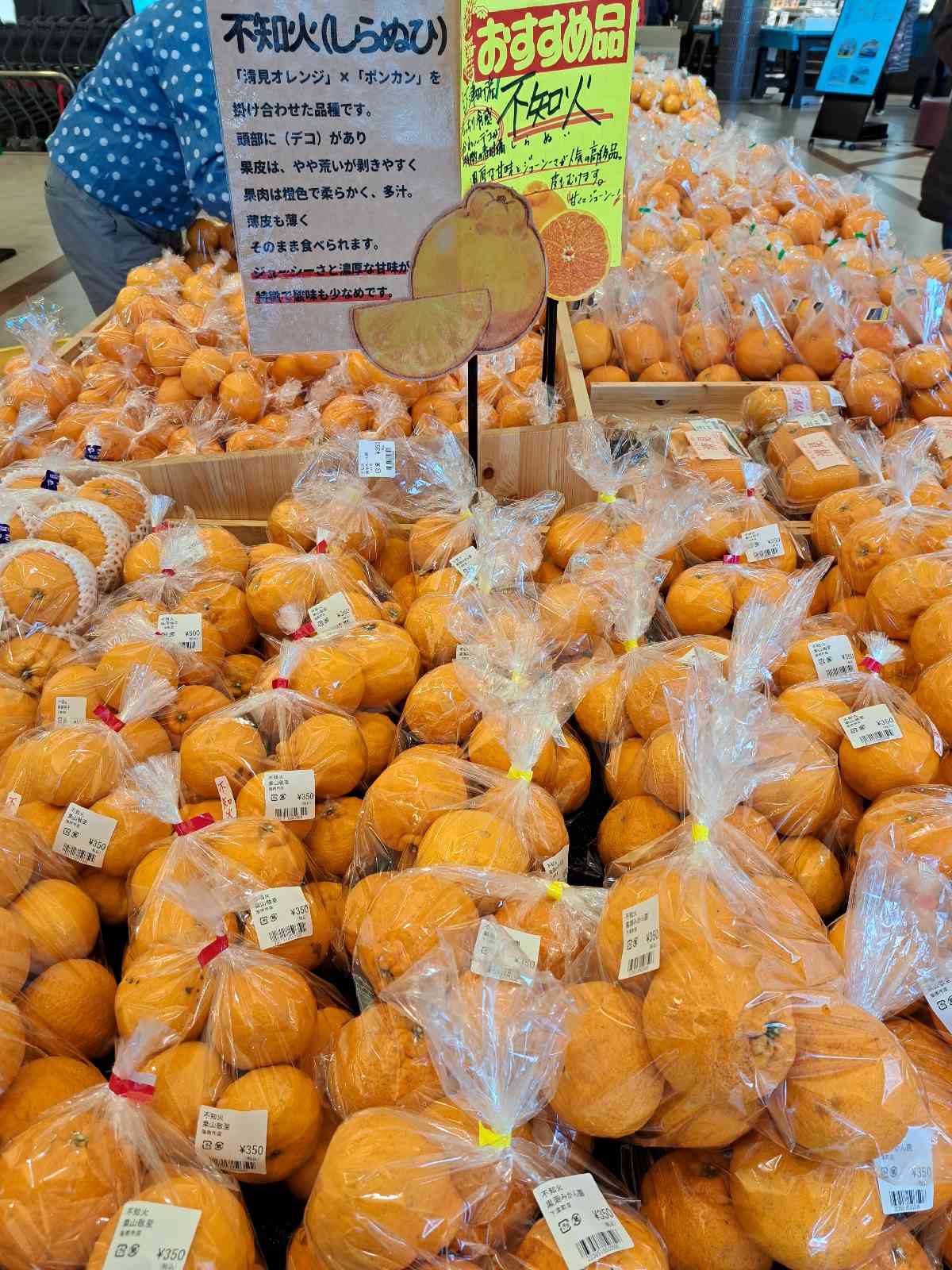 道の駅 海南サクアスの写真