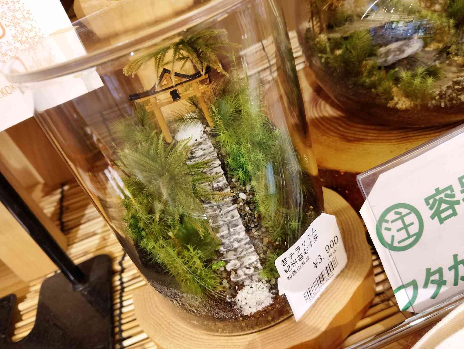 道の駅 海南サクアスの写真