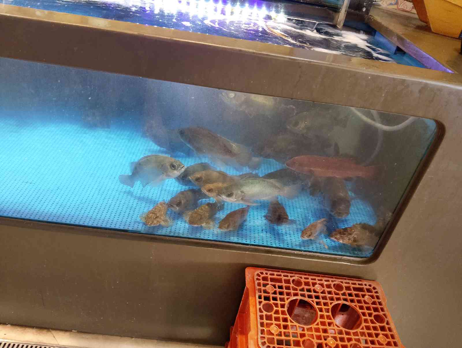 道の駅 海南サクアスの写真