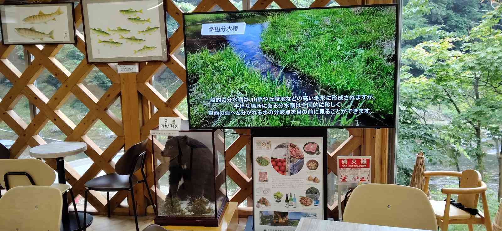 道の駅 もがみの写真