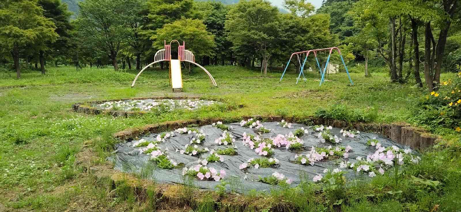 道の駅 もがみの写真