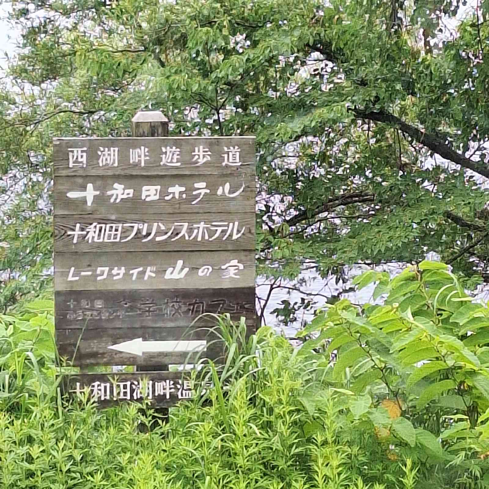 道の駅 十和田湖の写真