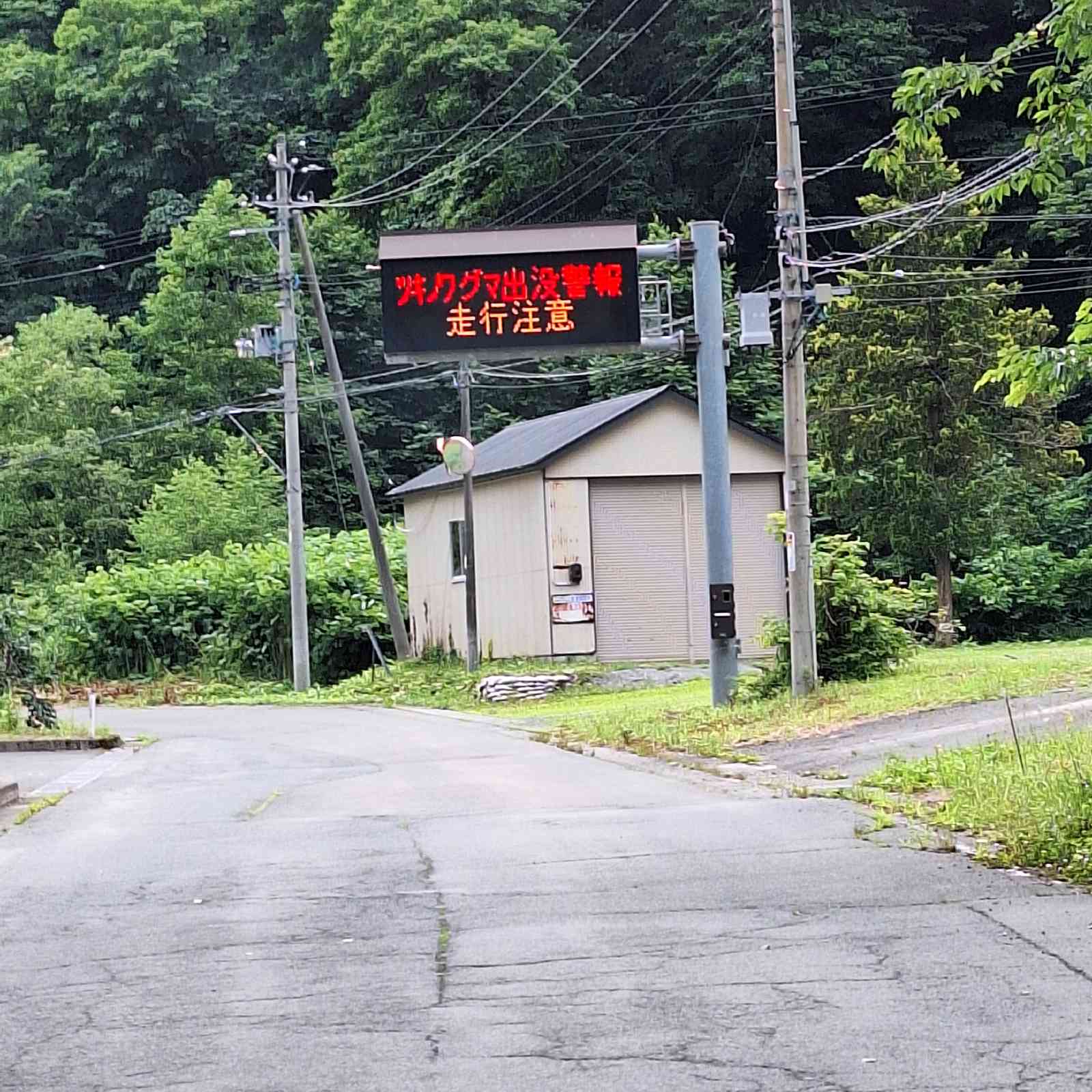 道の駅 十和田湖の写真