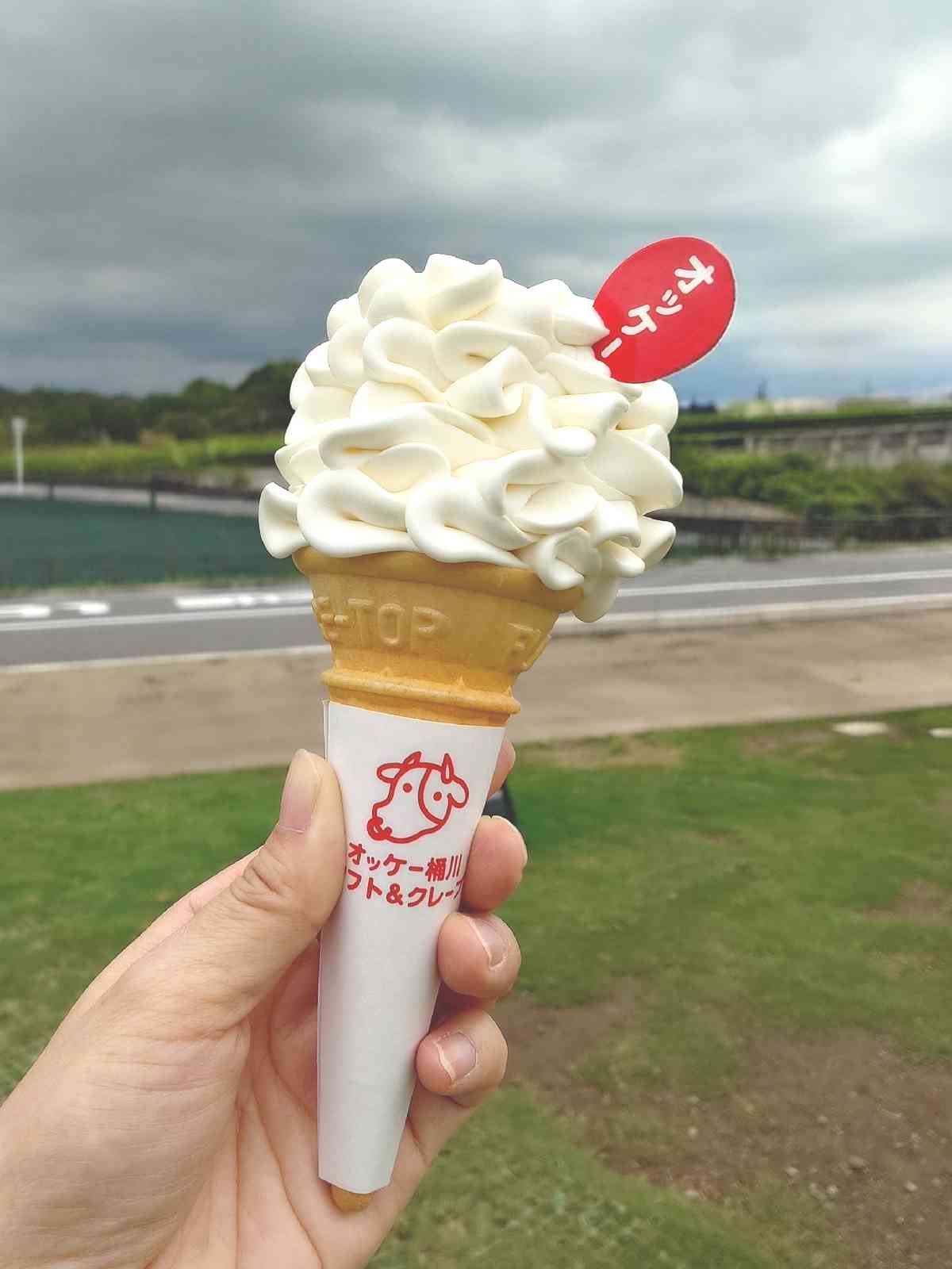 道の駅 べに花の郷おけがわの写真