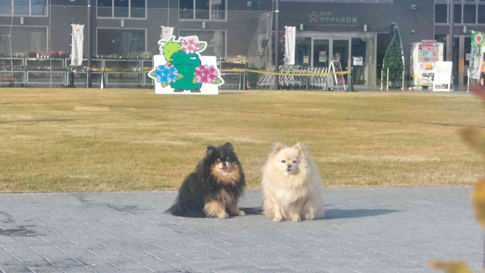 道の駅 マチテラス日進の写真