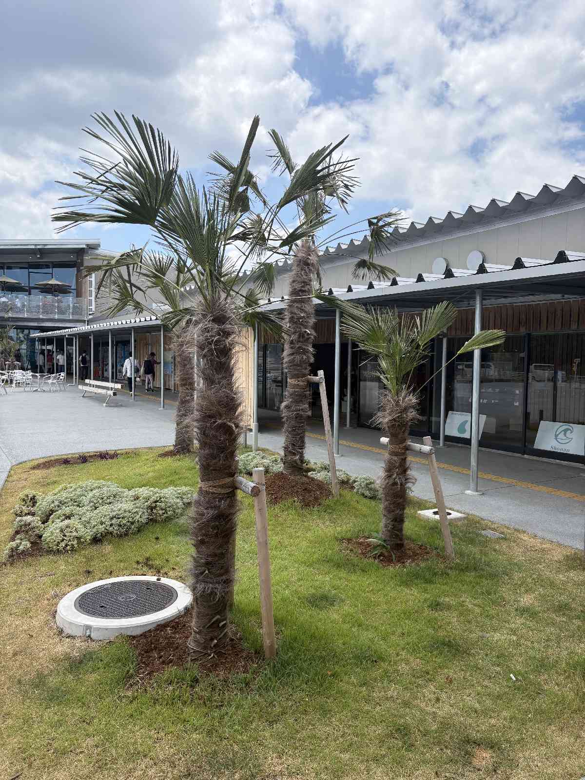 道の駅 湘南ちがさきの写真