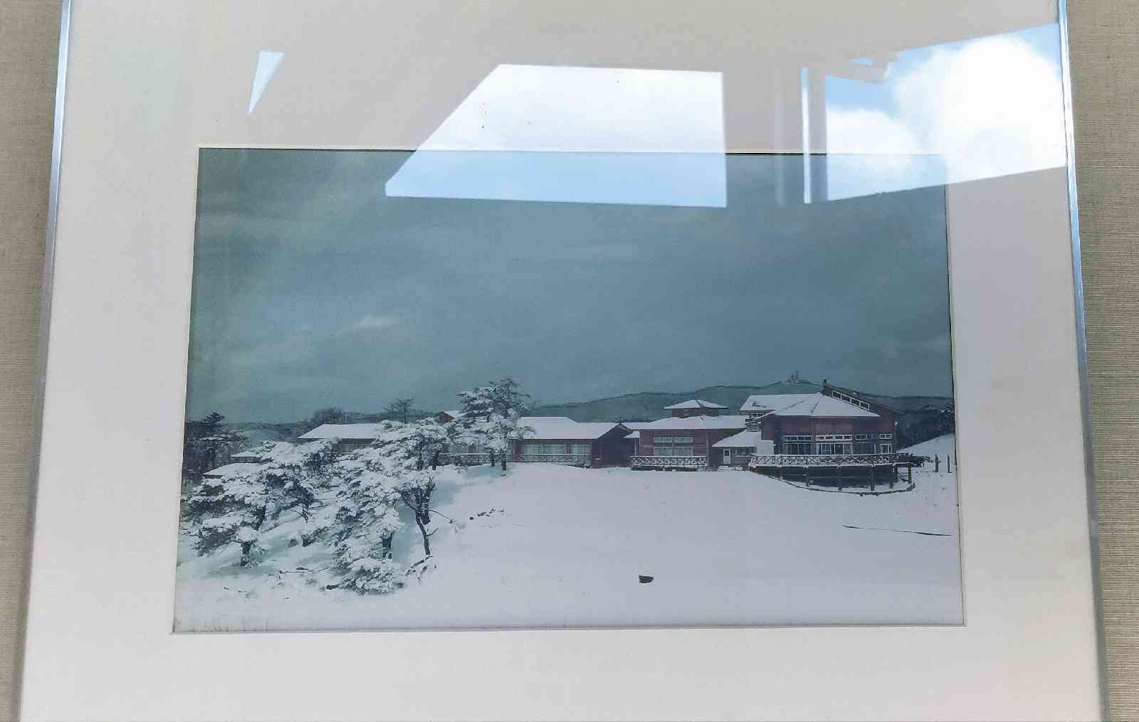 投稿された画像