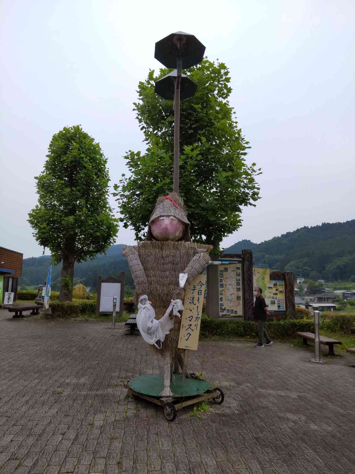 投稿された画像