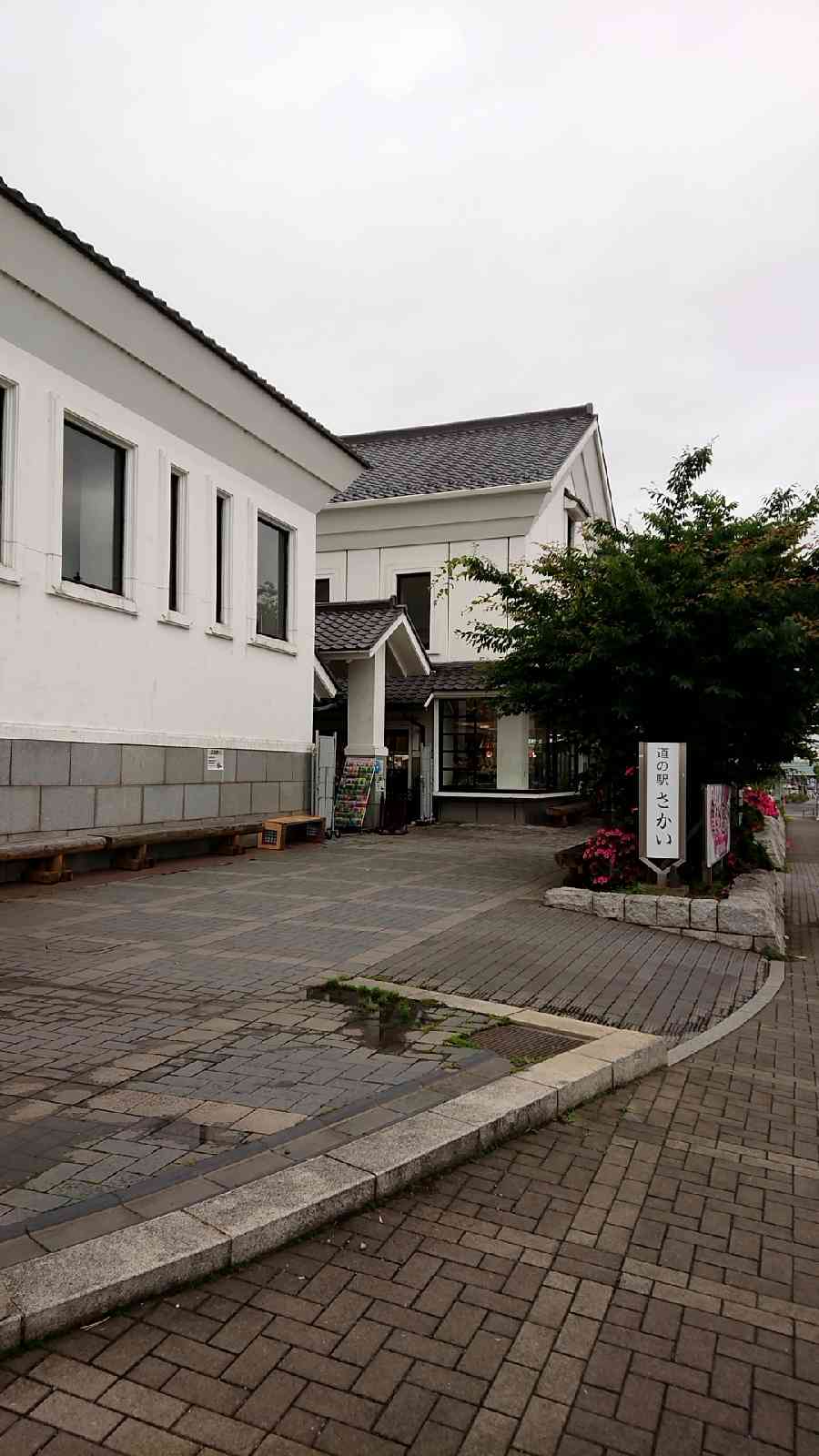 投稿された画像