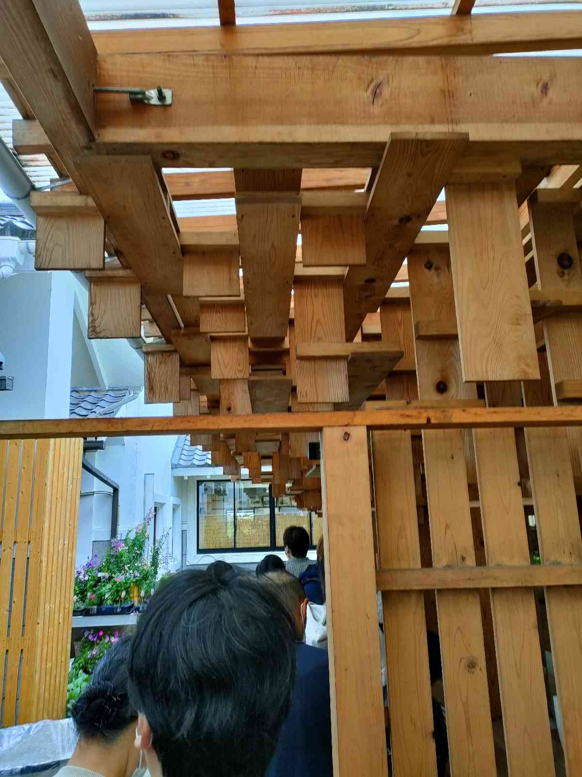 投稿された画像