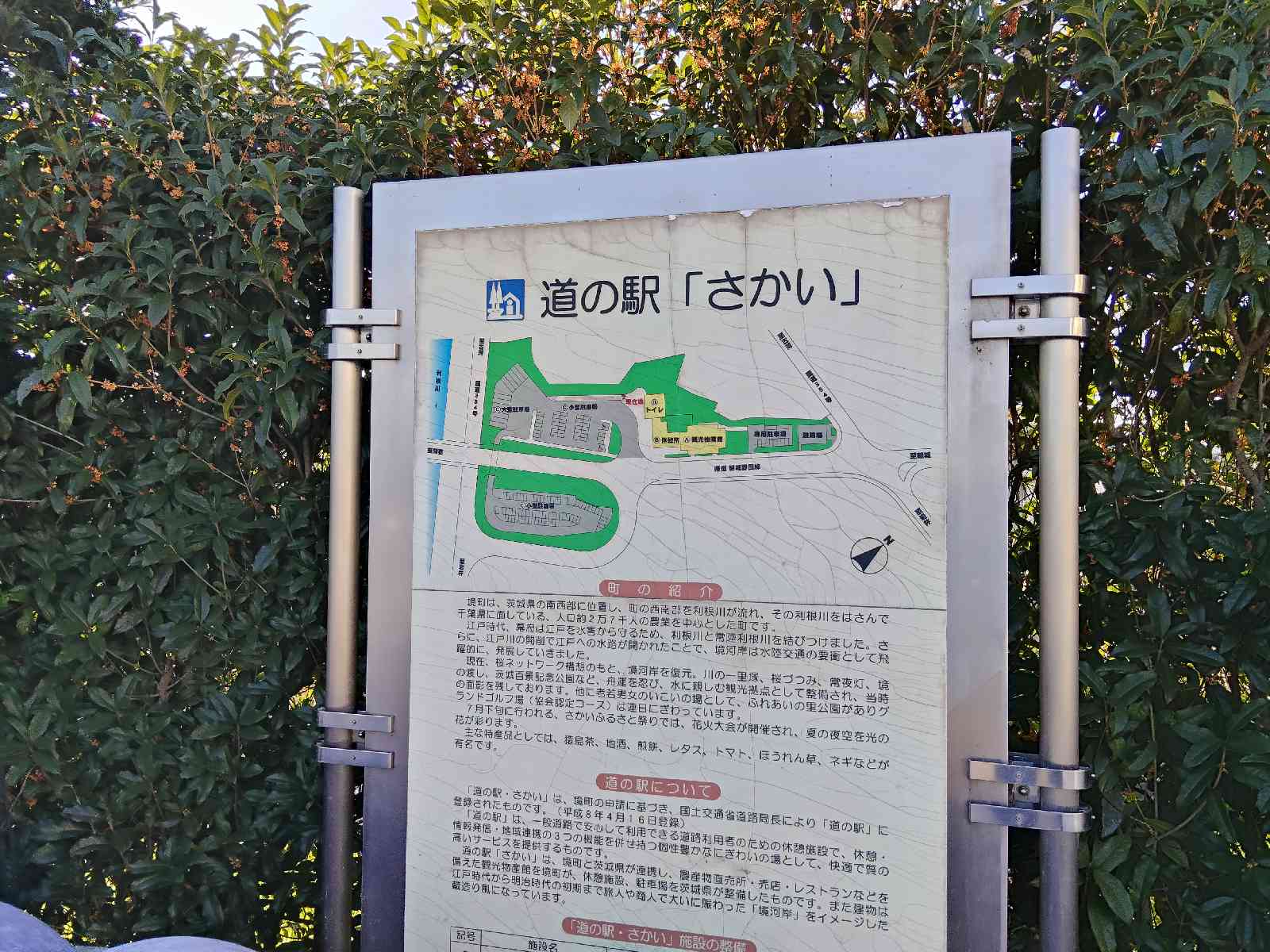 道の駅 さかいの写真