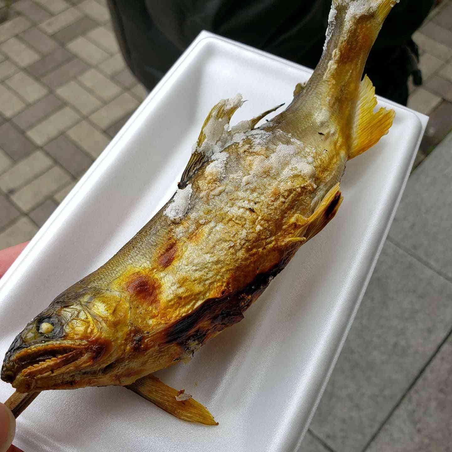 投稿された画像