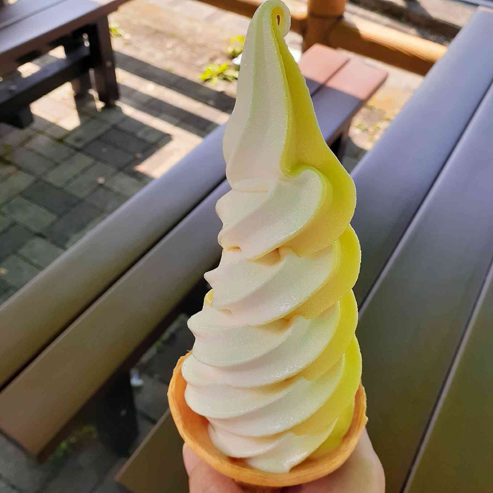 投稿された画像