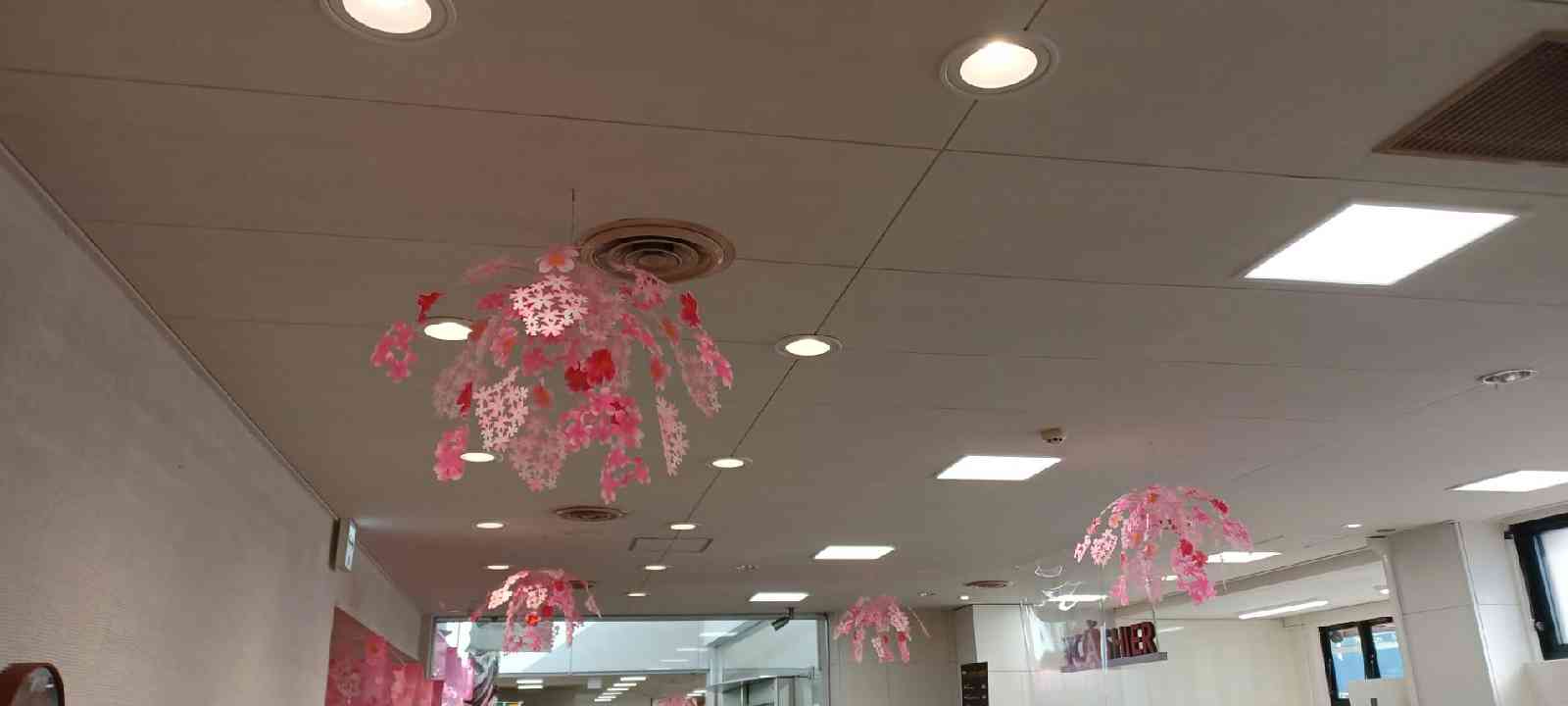 投稿された画像