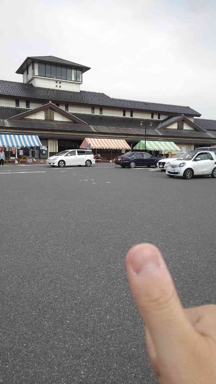 投稿された画像