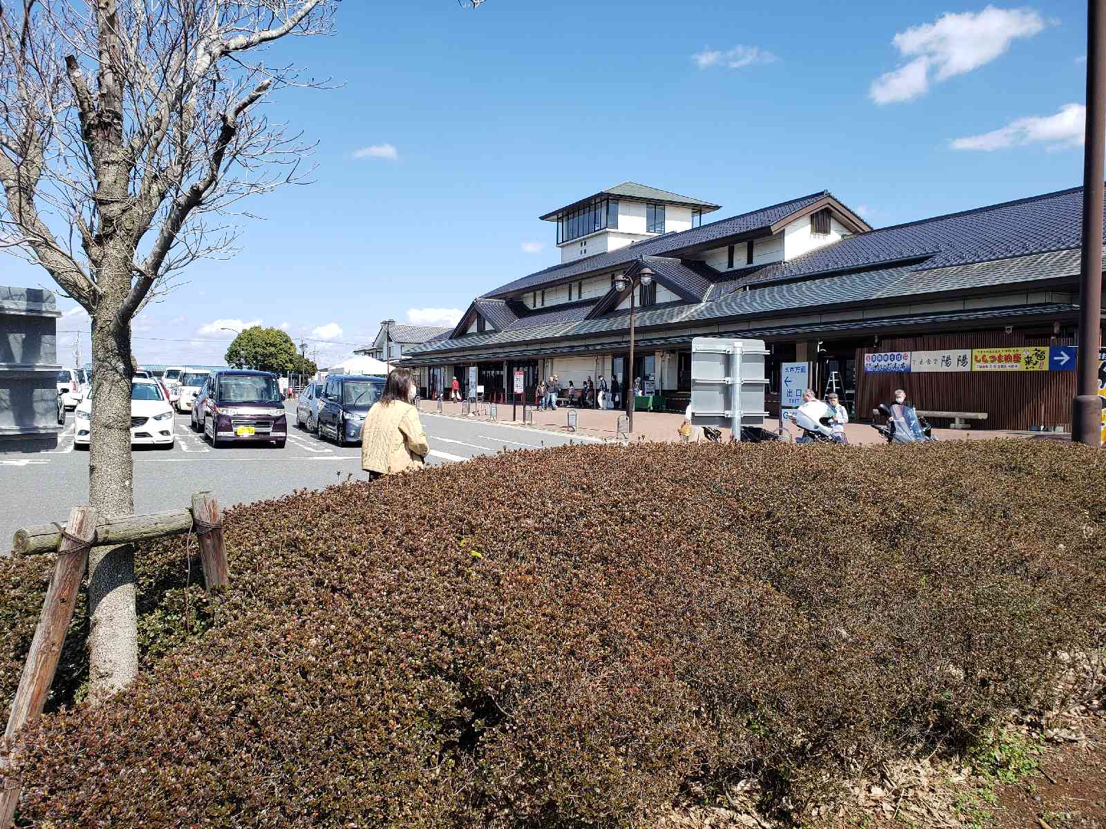 投稿された画像