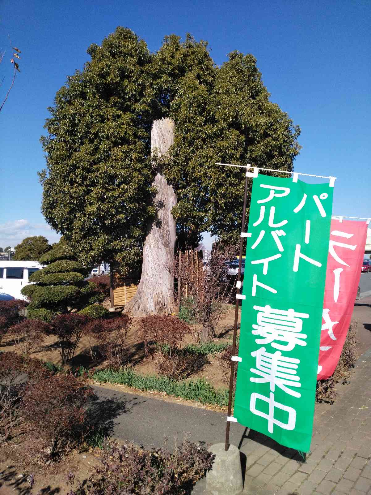 投稿された画像