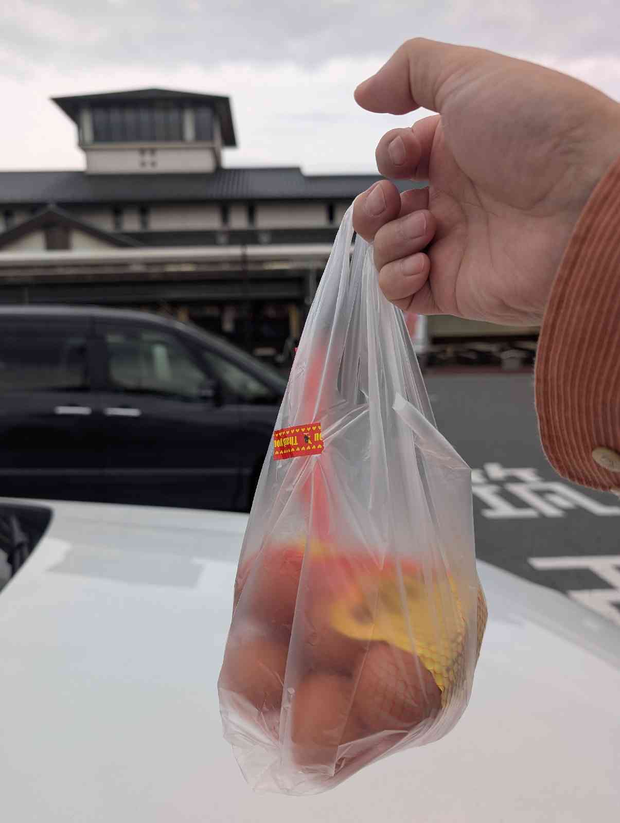 道の駅 しもつまの写真