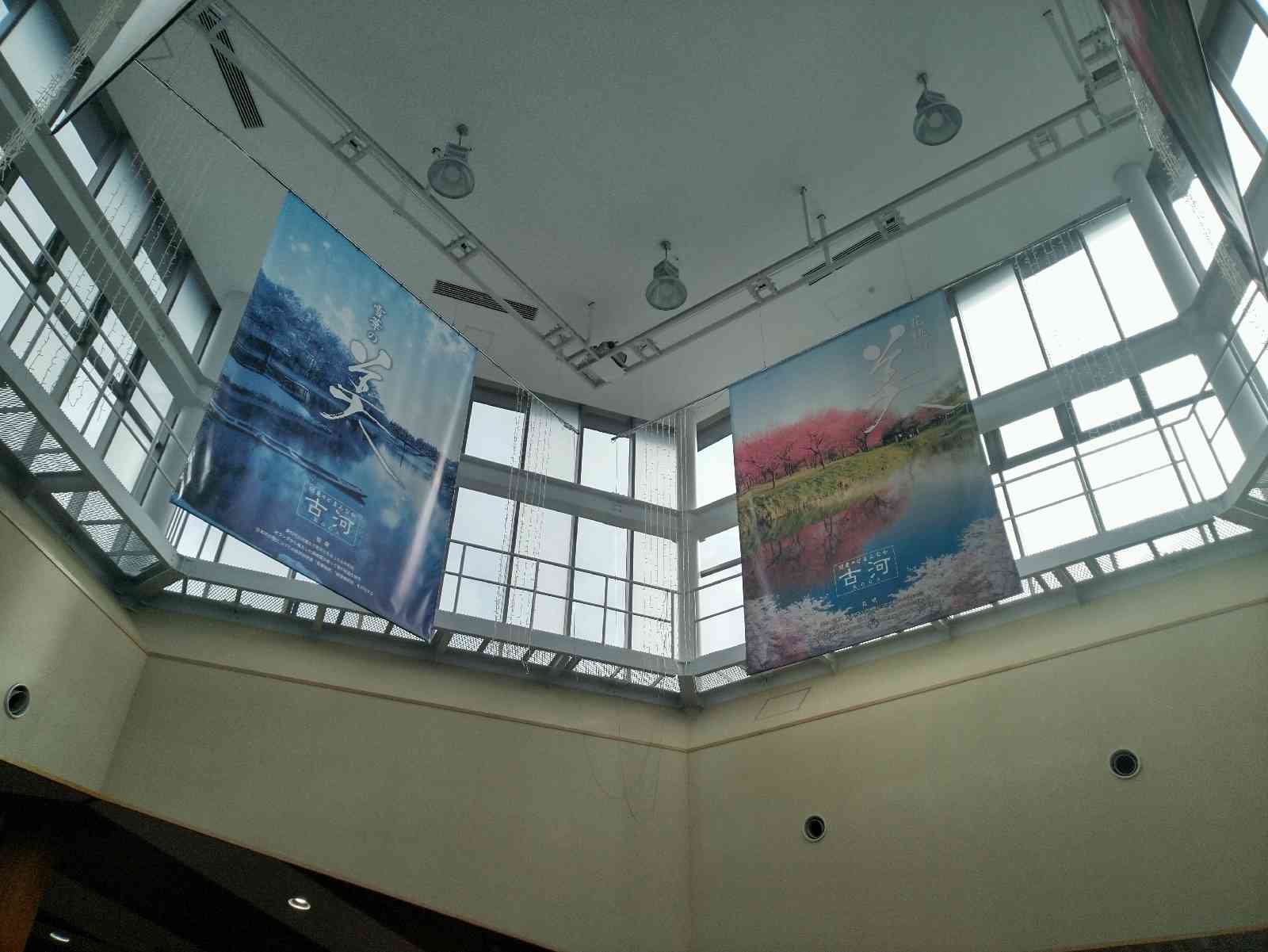 投稿された画像