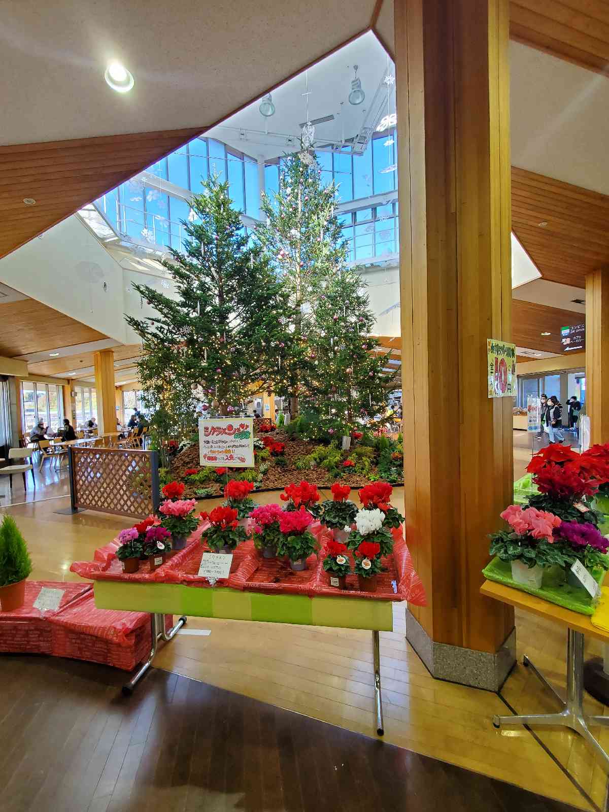 投稿された画像