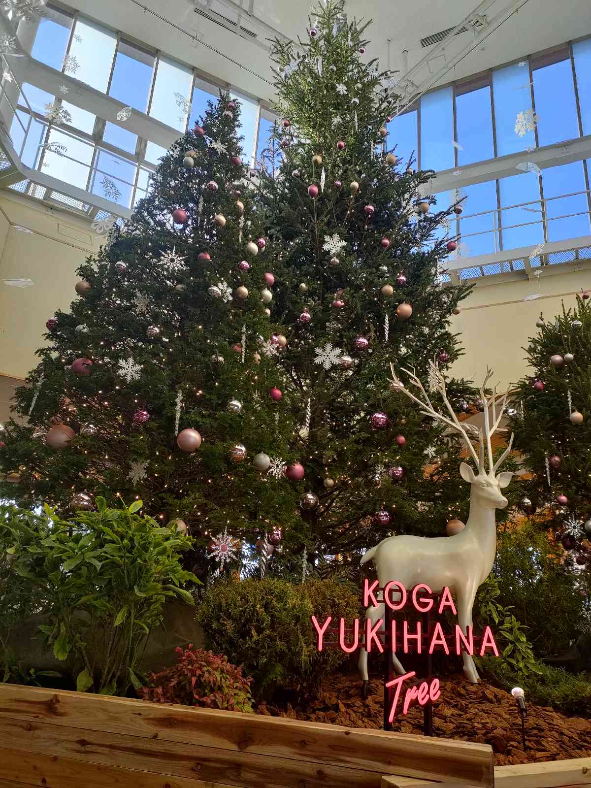 道の駅 まくらがの里　こがの写真