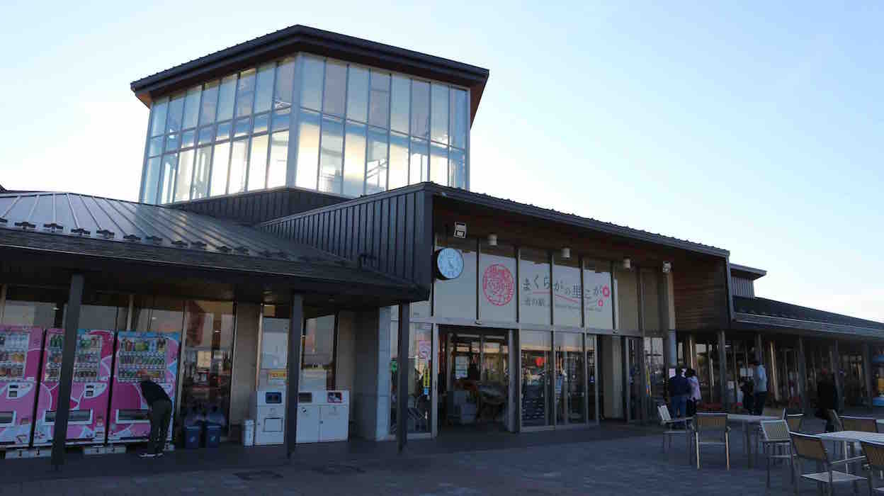 投稿された画像