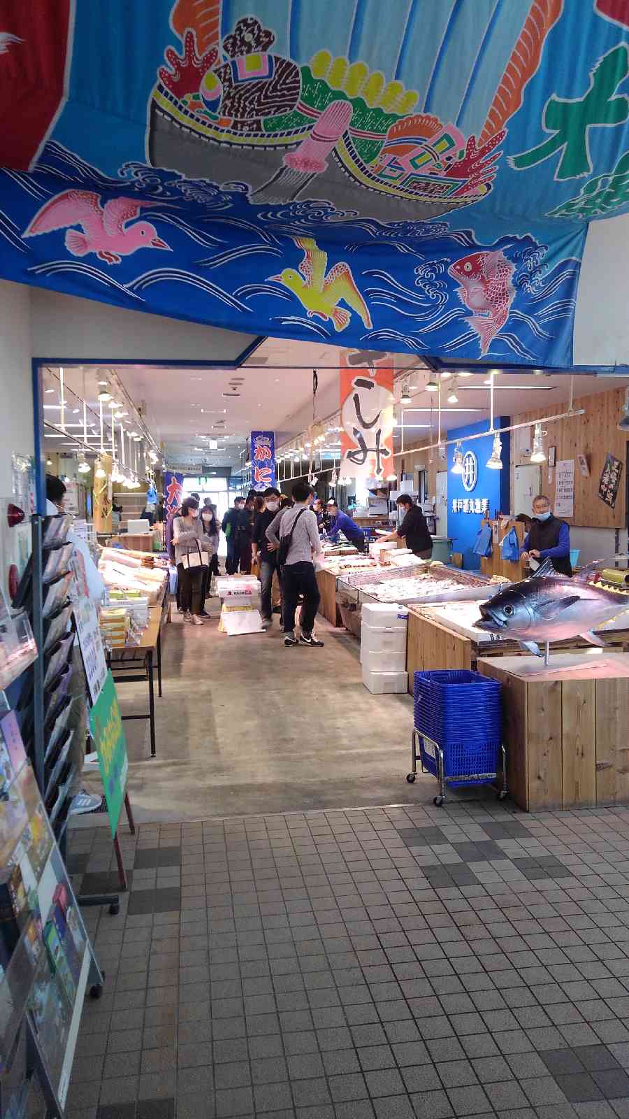 投稿された画像